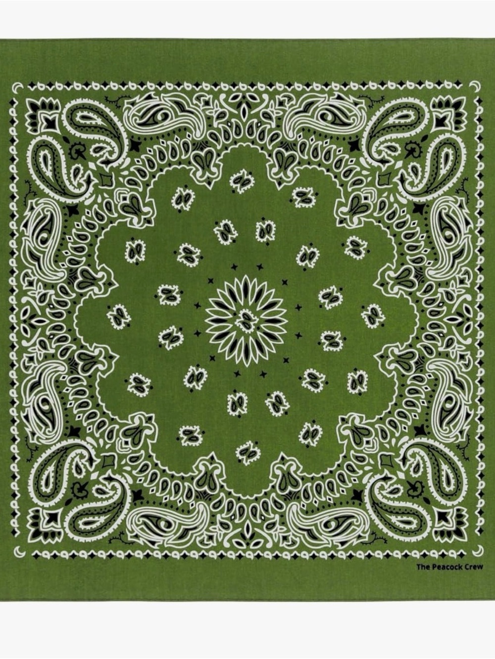 Green Paisley Table Napkin - Classic Bandana Print -Set of 10